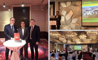 绿地6·365 经贸合作新模式