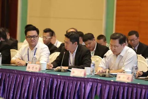 开辟合作新起点，共铸发展新篇章——马来西亚“一带一路”经贸考察团来桐座谈会圆满举行