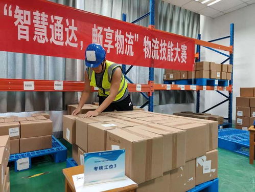 匠心筑梦 技能成才 启航未来 经贸学院第五届经济节专业技能竞赛圆满落幕，引领经济贸易咨询新高度